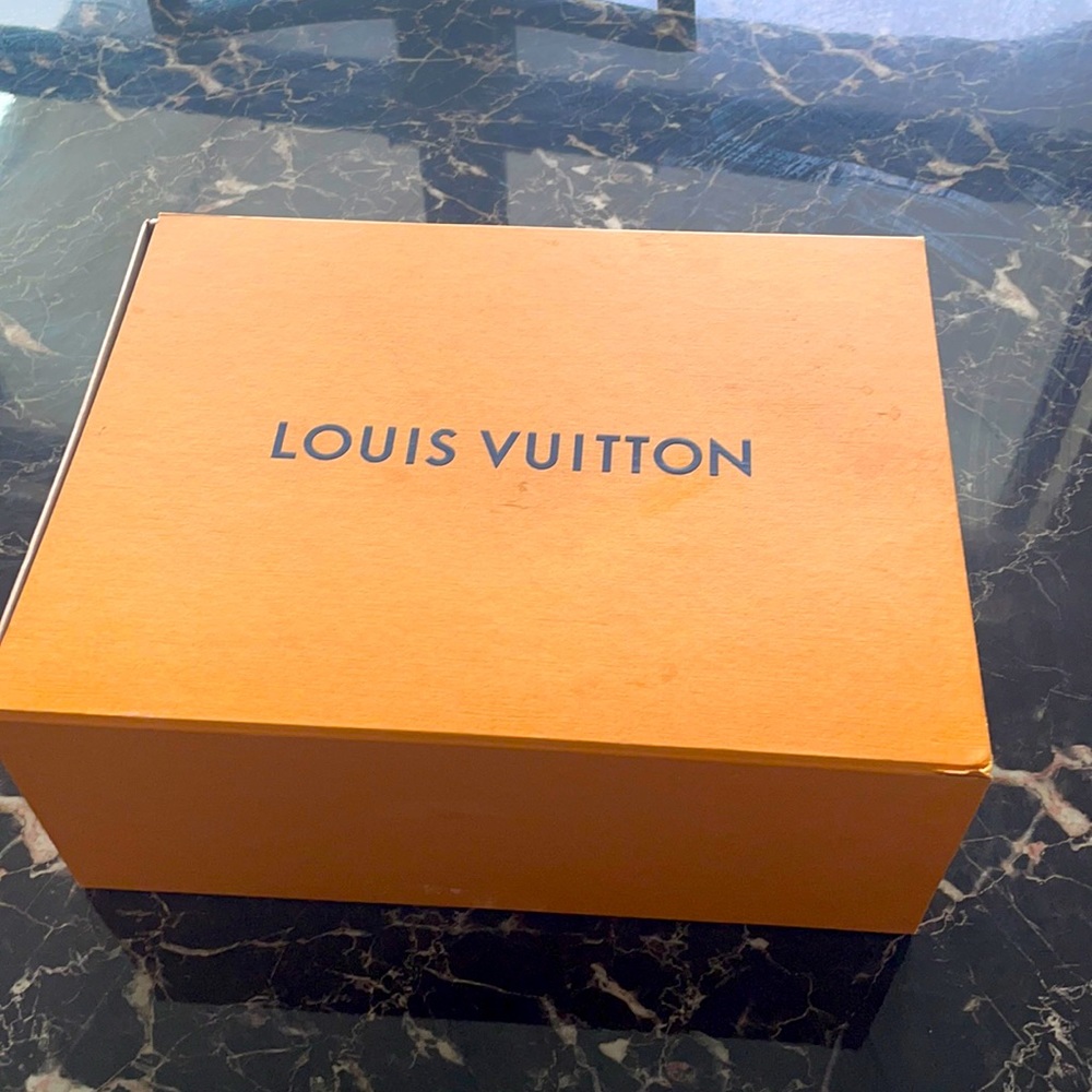 2021 Brown Louis Vuitton Sneakers